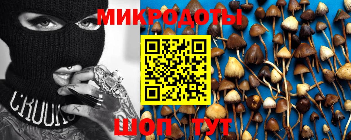 ГАШ Ярославль
