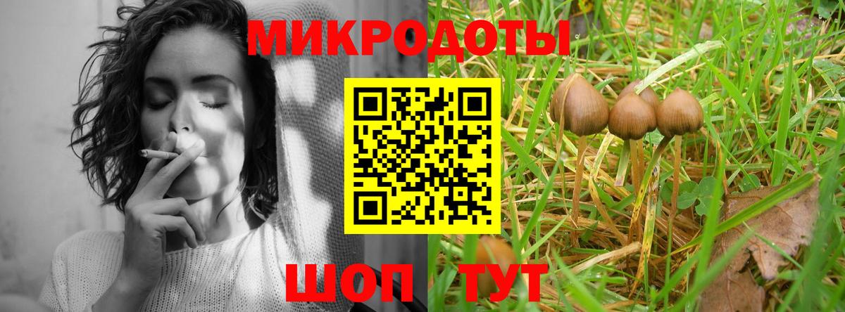 Псилоцибиновые грибы MAGIC MUSHROOMS Ярославль