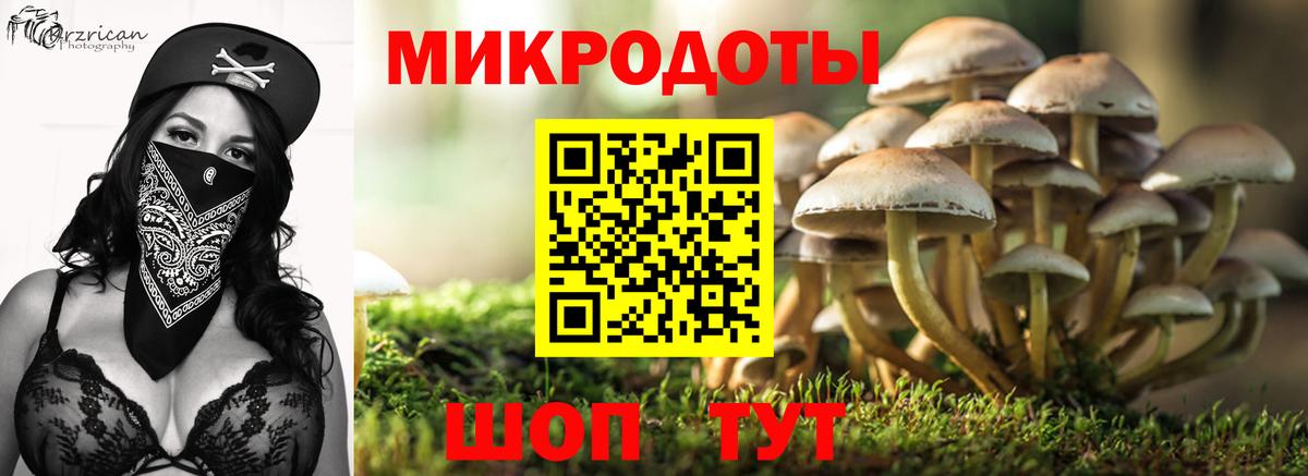 Псилоцибиновые грибы мухоморы  Вход с VPN  Ярославль  Галлюциногенные грибы мухоморы 